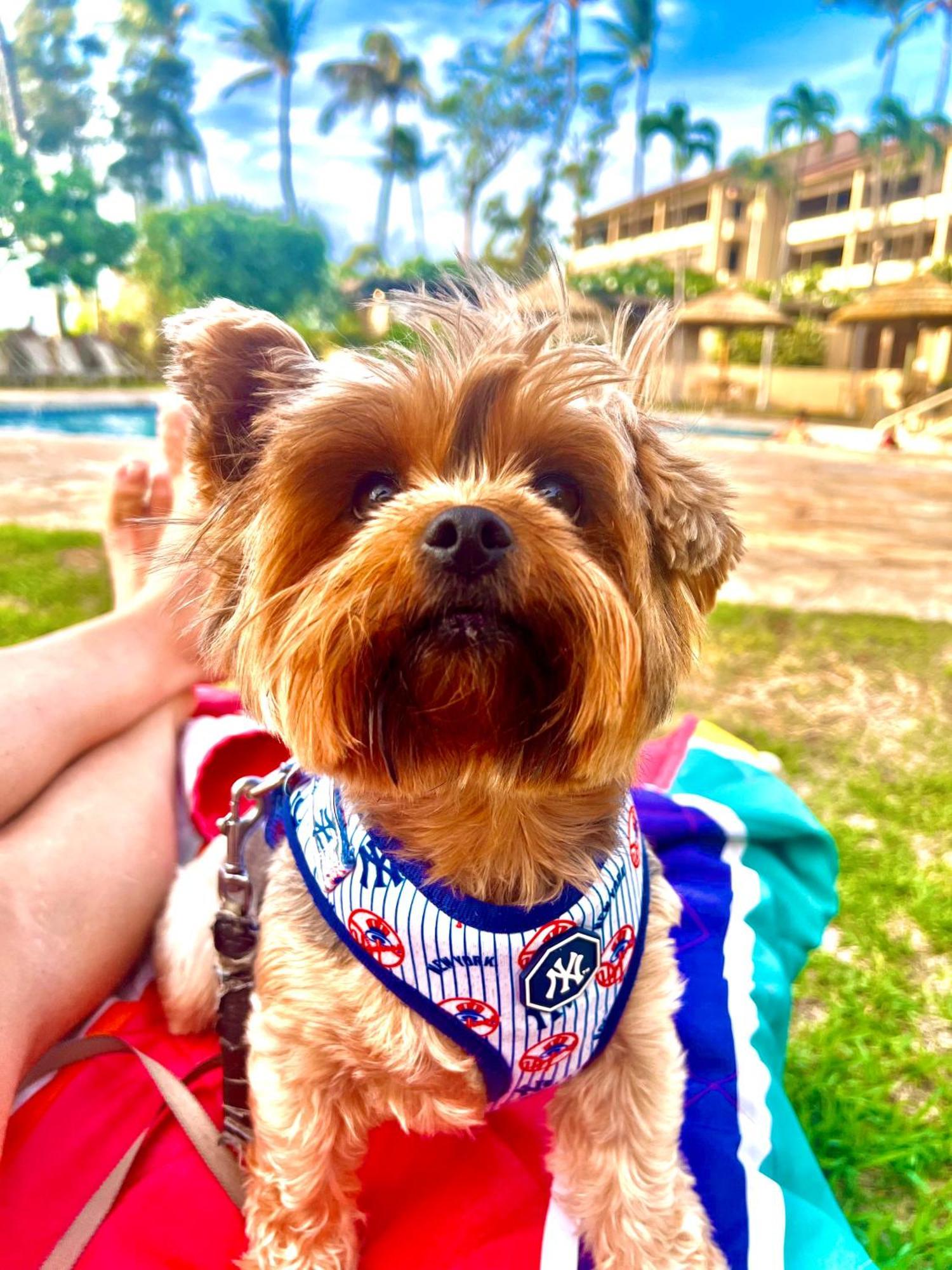 Kaanapali'S Royal Luxury Plantation Beach & Golf Estate Экстерьер фото